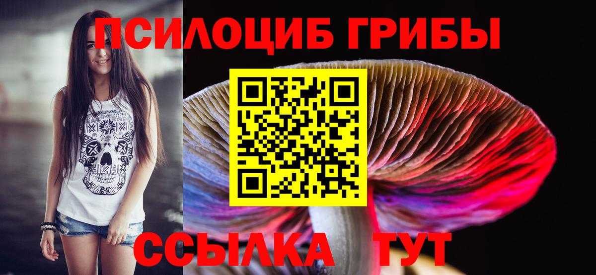 Галлюциногенные грибы GOLDEN TEACHER Миасс